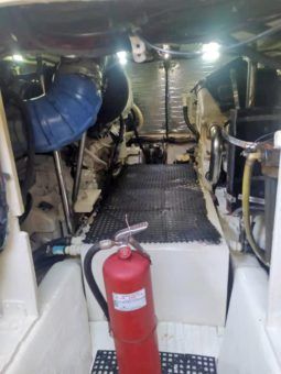 SEA RAY SEDAN BRIDGE 44 full