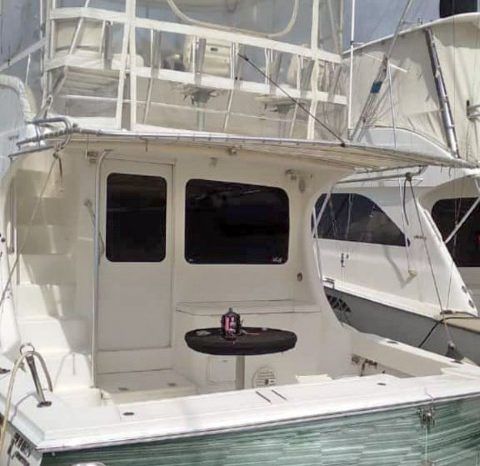 
								LUHRS SPECIAL EDITION 41 full									