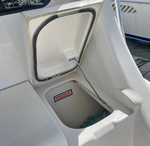 
								LUHRS SPECIAL EDITION 41 full									