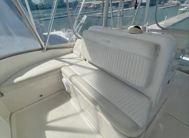 
								LUHRS SPECIAL EDITION 41 full									