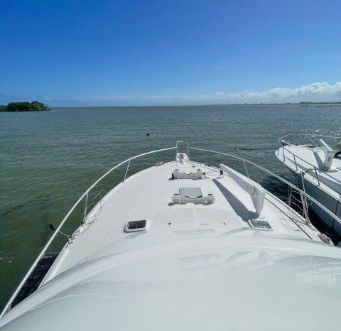 
								LUHRS SPECIAL EDITION 41 full									