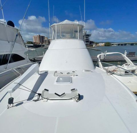 
								LUHRS SPECIAL EDITION 41 full									
