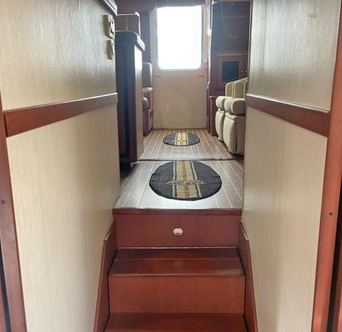 
								LUHRS SPECIAL EDITION 41 full									