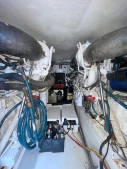 
										HATTERAS CONVERTIBLE 50 full									