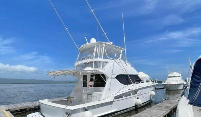 
								HATTERAS CONVERTIBLE 50 full									