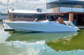 JAWS 33