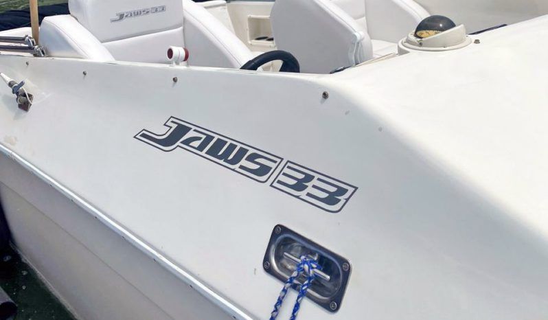 
								JAWS 33 full									