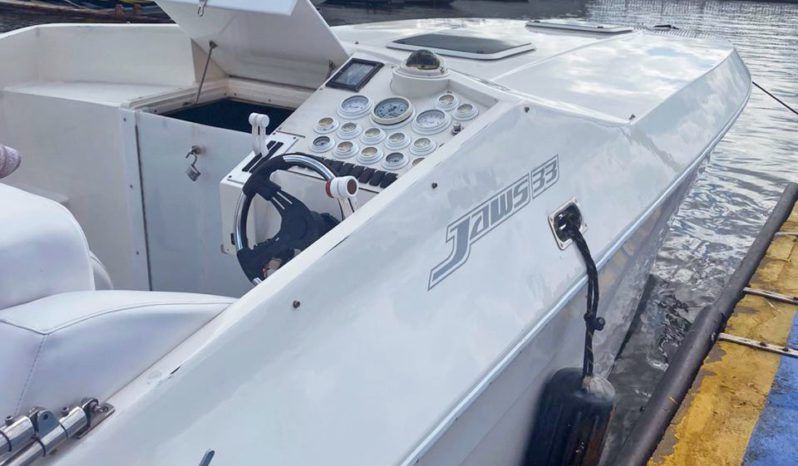 
								JAWS 33 full									