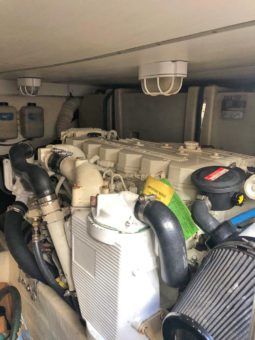 
										LUHRS CONVERTIBLE 35 full									