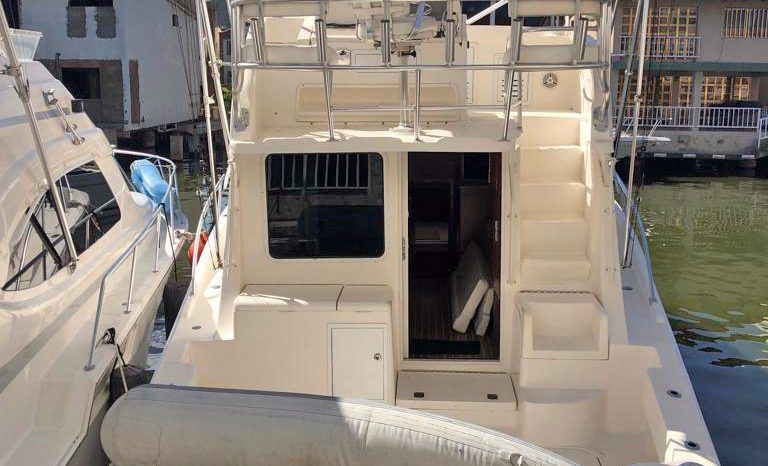 
								LUHRS CONVERTIBLE 35 full									