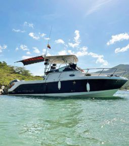 
										ROBALO 30.5 full									