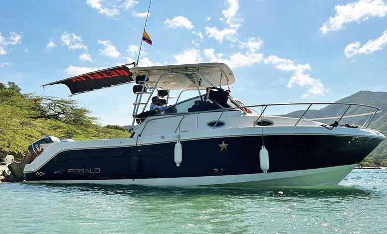 
								ROBALO 30.5 full									