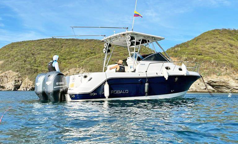 
								ROBALO 30.5 full									