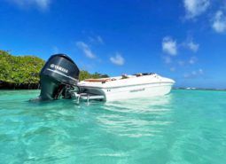 
										PROMARINE SPORT 26 full									