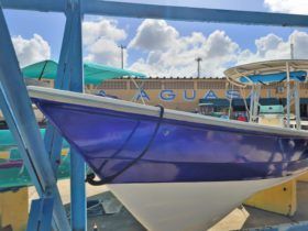 PEÑERO BULL MARINE 28