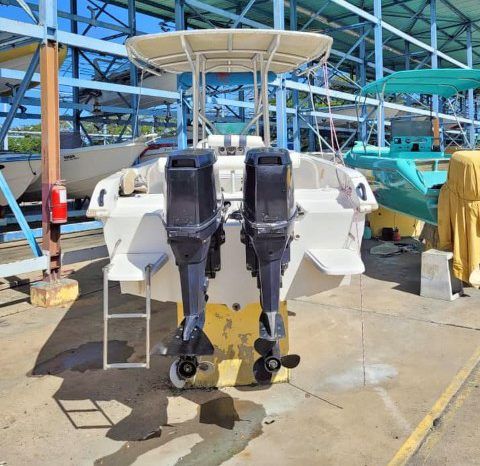 
								PEÑERO BULL MARINE 28 full									