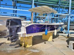 
										PEÑERO BULL MARINE 28 full									