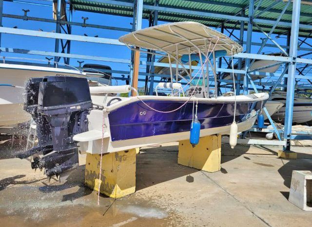 
								PEÑERO BULL MARINE 28 full									