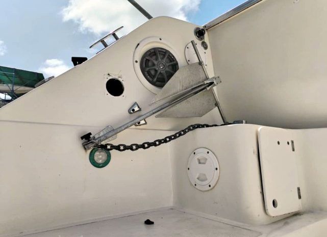 
								INTERMARINE AVANTI 35 full									