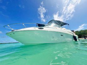 SEA RAY SUNDANCER 240 25