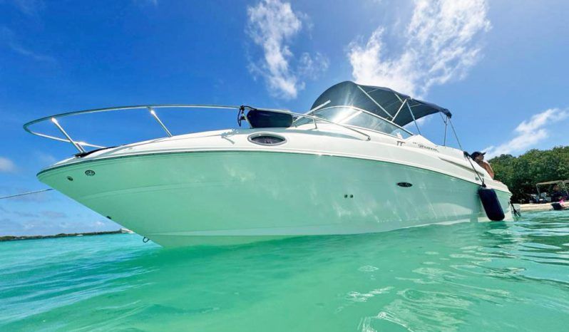 
								SEA RAY SUNDANCER 240 25 full									