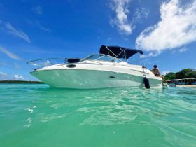 SEA RAY SUNDANCER 240 25