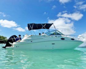 SEA RAY SUNDANCER 240 25