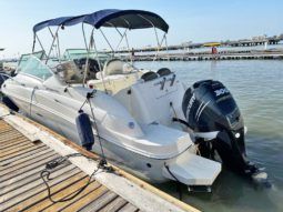 SEA RAY SUNDANCER 240 25