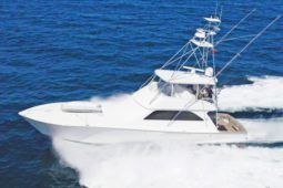 
										VIKING SPORT 61.8 full									