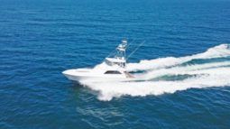 
										VIKING SPORT 61.8 full									