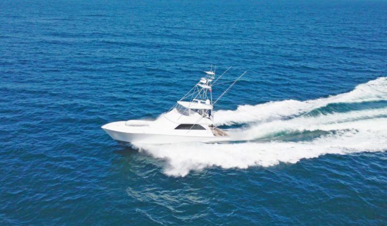 
								VIKING SPORT 61.8 full									