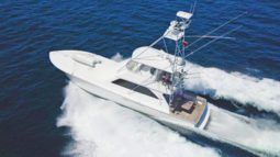 
										VIKING SPORT 61.8 full									