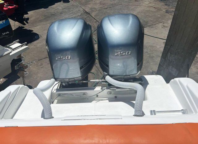
								PROMARINE SPORT 33 full									