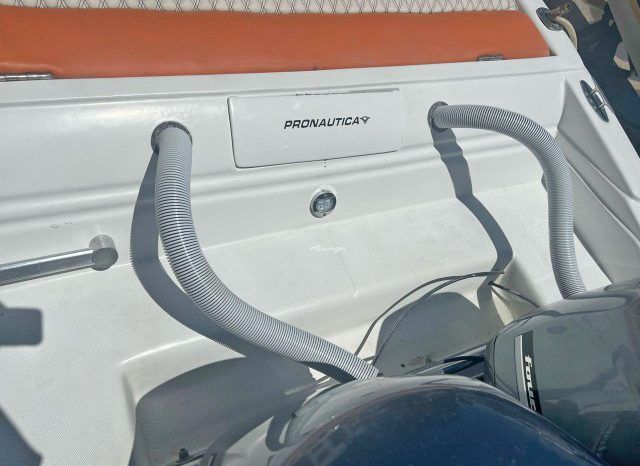 
								PROMARINE SPORT 33 full									