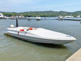 INTERMARINE LASER 220 22