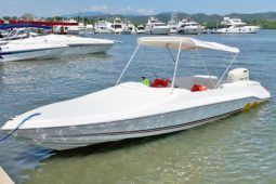 INTERMARINE LASER 220 22 full