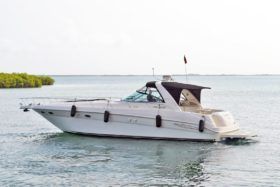 SEA RAY SUNDANCER 46