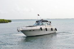 
										SEA RAY SUNDANCER 46 full									