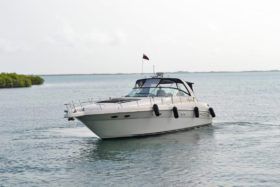 SEA RAY SUNDANCER 46