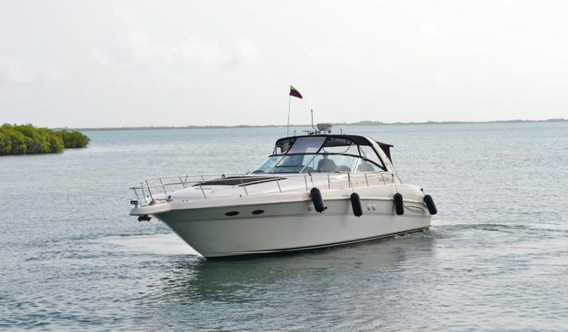 
								SEA RAY SUNDANCER 46 full									