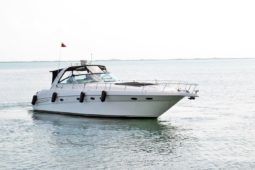 
										SEA RAY SUNDANCER 46 full									
