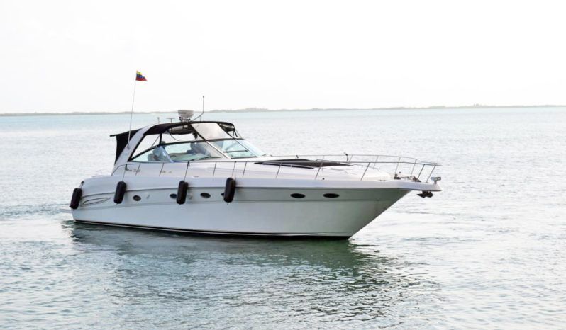 
								SEA RAY SUNDANCER 46 full									