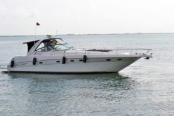 
										SEA RAY SUNDANCER 46 full									