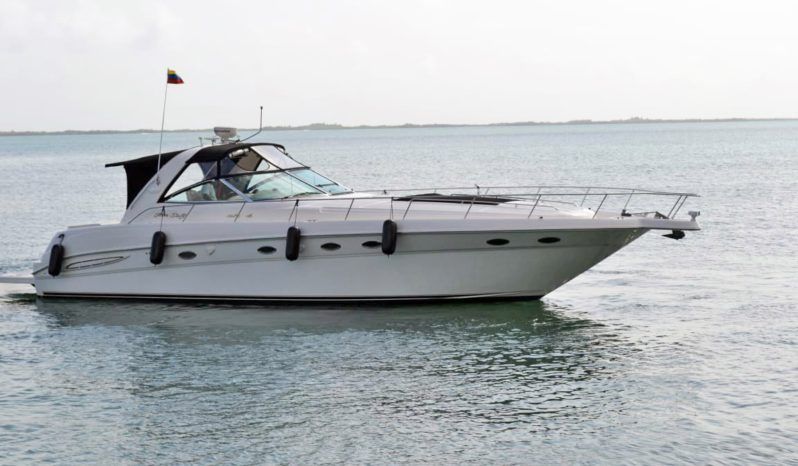 
								SEA RAY SUNDANCER 46 full									