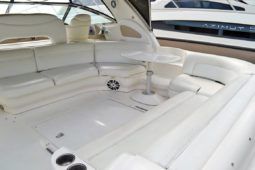 
										SEA RAY SUNDANCER 46 full									