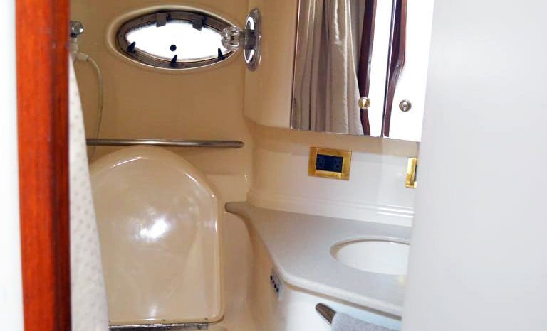 
								SEA RAY SUNDANCER 46 full									
