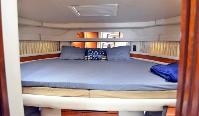 
								SEA RAY SUNDANCER 46 full									