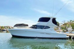 
										SILVERTON CONVERTIBLE 50 full									