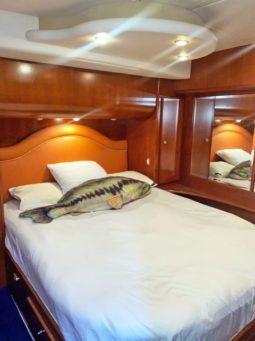 
										SILVERTON CONVERTIBLE 50 full									