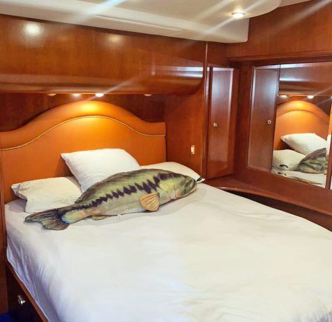 
								SILVERTON CONVERTIBLE 50 full									